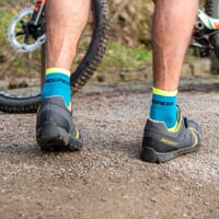 CYCLING SOX petroleum/lime